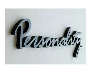 Custom Store Logo 3D Metal Titanium Backlit Signage LED Stainless Steel Letter Signs