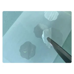 Custom Transparent Printer 3D Micro Text Pvc Card Laminate Overlay Security Hologram Stickers Label