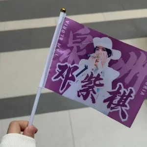 Customizable 100% Polyester Custom Logo Small Mini Handheld Stick Flag Waterproof Durable