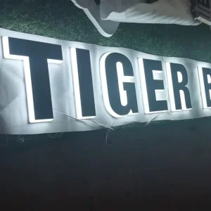 Customization Acrylic Decorative LED Side Lit Channel Letter Signs Waterproof