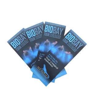 Customize Both Sides Offset Printed Tri folded Travel Advertising Poster Leaflet with Art Paper