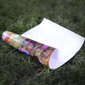 Customized 24×36 Movie Artwork Poster Printing Service Full Color Newsprint Paper Digital Printing