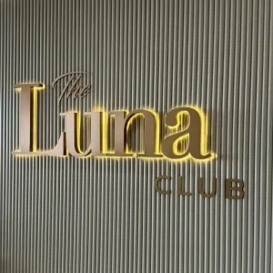 Customized 3D RGB Metal LED Illuminated Acrylic Channel Letter Signage Outdoor Dome Backlit Electronic Advertising Logo