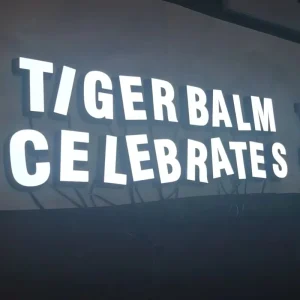Customized Color Decorative Waterproof LED Letters with Wall Mount Installation