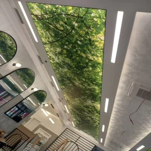 Customized Commercial 3D Printing Soft Film Stretch Ceiling Green Environmental protection Rainforest Style Models