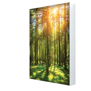 Customized Full Color LED Fabric Light Box Standing