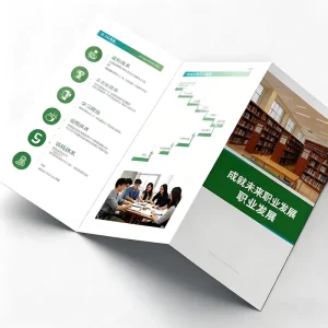 Customized Printed Brochure Poster OEM Orders Flyer Direct Factory Fancy Art Surface Finish Colorful Catalog Printing