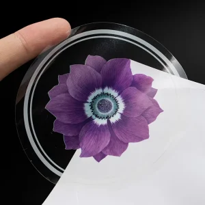 Customized Waterproof Transparent Vinyl Label Stickers Printing Design Color Logo Clear Adhesive Round PVC Stickers Sheets