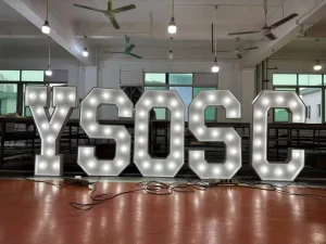 DS Neon Sign Customized Size Marquee Letters Advertising Light Letters Event Decor Hospitals Stainless Steel LED Strips Interior