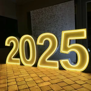 Decoration Lettering Light Logo Custom LED Light for Party