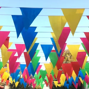 Decoration Polyester String Pennant Flags Banner for Event