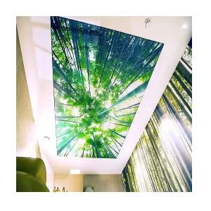 Decorative Ceiling Light Cover Film Decorative Fluorescent Light Covers Ceiling Film All Purpose Flexible Soft Vinyl Film