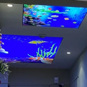 Decorative PVC Film Cover LED Ceiling Light