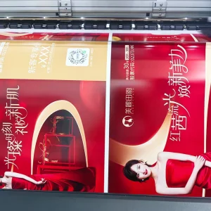 Digital Printing Poster A0 A1 A3 A4 Size Wall Posters Printing Service Art Printing Poster