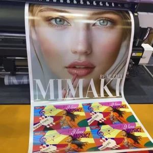 Digital Printing Service for A0 A1 A3 A4 Size Wall Posters Art Printing Poster for Packaging Display Paper Paperboard Printing
