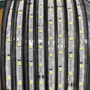 Displayed Signs Design S-Shaped LED Strip Light 12V 60LEDs 3D Channel Letter S-Type Light Strip