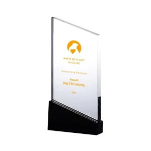 Eco Friendly Polished Engraved Crystal Trophy with Letterpress Printing for Personalized Gifts and Achievements