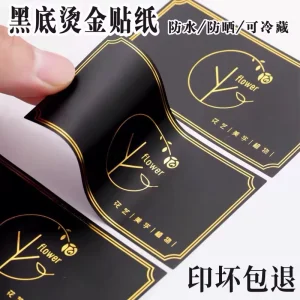 Eco Holographic Vinyl Self Adhesive Stickers UV Resistant Waterproof Oil Proof Heat Resistant Strong Stickiness Custom Sizes