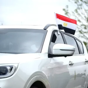 Egypt Custom Car Window Flag National Style for Sports Gala Road Trip Patriotic Decoration