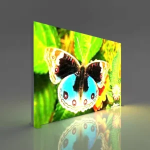 Equipment Floor Standing LED Light Box Backlit Advertising Tension Fabric Exhibition Design 3mx3m Trade Show Display