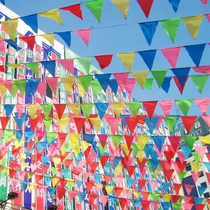 Factory Custom Logo Size Printing Ceiling Decoration Fabric Pennant String Shape Bunting PVC Flag