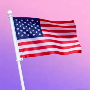 Factory Custom Polyester Waterproof Anti Wrinkle Double Sided Hand Hold Flag Advertising Campaign Outdoor Banner