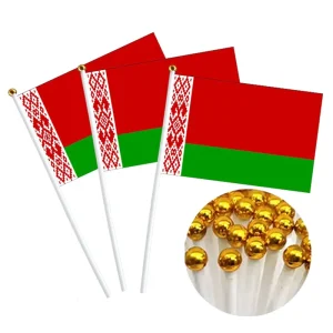 Factory Direct Custom Double Sided Belarus Mini Flags Personalized Handheld Patriotic Decorations Hand Waving Flags