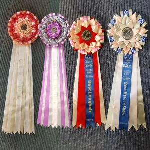 Factory Priced Luxury Customized Printable Glitter Badge Ribbon Roses Satin Decorate Dance Award Ribbon Rosette for Horse Race