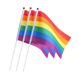 Fast Delivery Hand Waving Stick Handheld Flag Custom Size Hand Held Flags Hand Flag