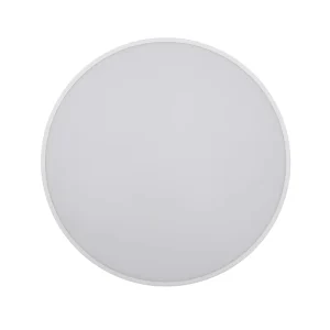 Flat Ceiling Light Waterproof And Dustproof For Commercial Apartment And Staircase