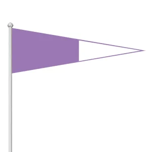Generation Left Blue Right White Triangle Flag 100% Polyester Printed International Signal Flag