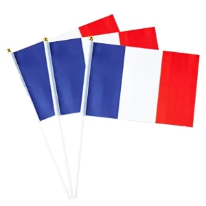 Handheld Polyester Flag and Flagpole with Digital Printing Custom Logo Portable Design-14x21cm