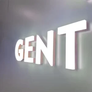 High Brightness Custom Acrylic 3D Logo Characters with LED Lighting Waterproof for Landscape Illumination