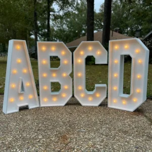 High End Acrylic LED Light Bulb Luminous Letter Wedding Parties Customizable Bar Decorations Advertising Companies IP65