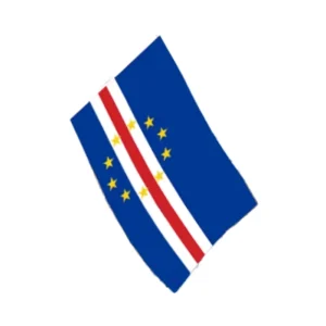 High Quality Custom Flags with Logo Printing Personalized High Quality Custom Flags