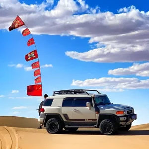 High Visibility Waterproof UV Resistant Warning Whip Light Flag for Road Vehicles Sand ATV UTV Customized Decoration Banners