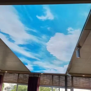 Home Decore Luxury Modern Lightweight Pop Design Print Pvc Film Fixed with Led Ceiling Light
