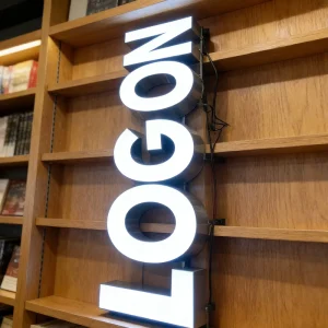 LED Illuminated Letters for Storefront Signs Customized Stainless Steel Acrylic IP65 Weather Resistant Wall-Mounted