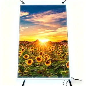 LED Illuminated Ultra Super Thin Slim LED Menu Board Frame Magnetic Light Box Sign for Restaurant Coffee Shop