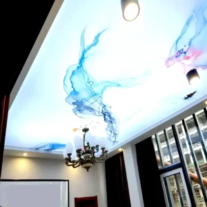Lightweight Led Light Box Pvc Film UV Print Plafond 3d Lights Suspended Ceiling