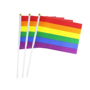 National Sports Events Festival Advertising Fan Handheld Flag National Flag for Sports