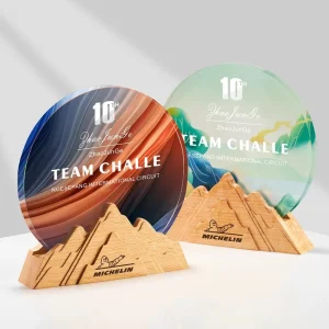 New Mountain Wooden Medal Trophy Round Color Printing Glass Staff Recognition Champion Medals Competition Awards