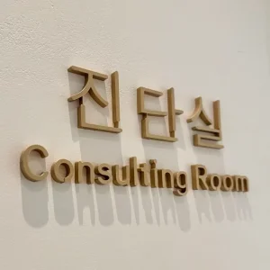 Non Iuminated Metal Cut Letters Sign Custom 3D Non luminous Letters Advertising Logo Led Sign for Business