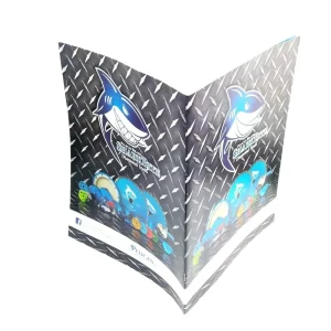 ODM Catalogue Printing Offset Printed Matte Paper Drill Hole Brochures Leaflets for Company Profile