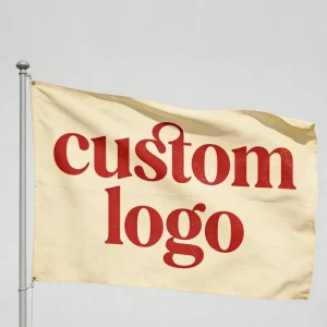 OEM Customized 3×5 National Polyester Pennant Flags with Fiberglass Flagpole Vibrant Digital Print for International Events