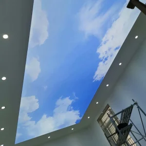 Office Supermarket Restaurant Decoration Soft PVC LED Cloud Ceiling Light