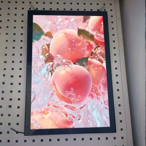 Outdoor LED Advertising Panel Display Signage Magnetic Ultra Thin Light Box