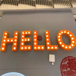 Outdoor Mini Stainless Steel LED Advertising Lamp with IP65 Waterproof Customizable Design for Bar Door Head Use