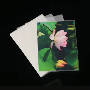 PET EVA Elegant Pet Heat Transfer Cellophane Wrap Protective Matt Laminating Film