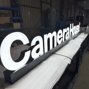Personalized 3D Standing Letters Face Lit Channel Letters Custom Freestanding LED Letter Sign for Office Building Company Logo
